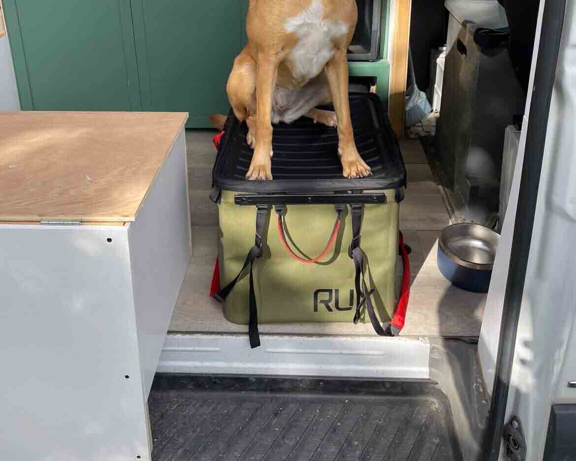 Rux Rides - Kodee's Sprinter